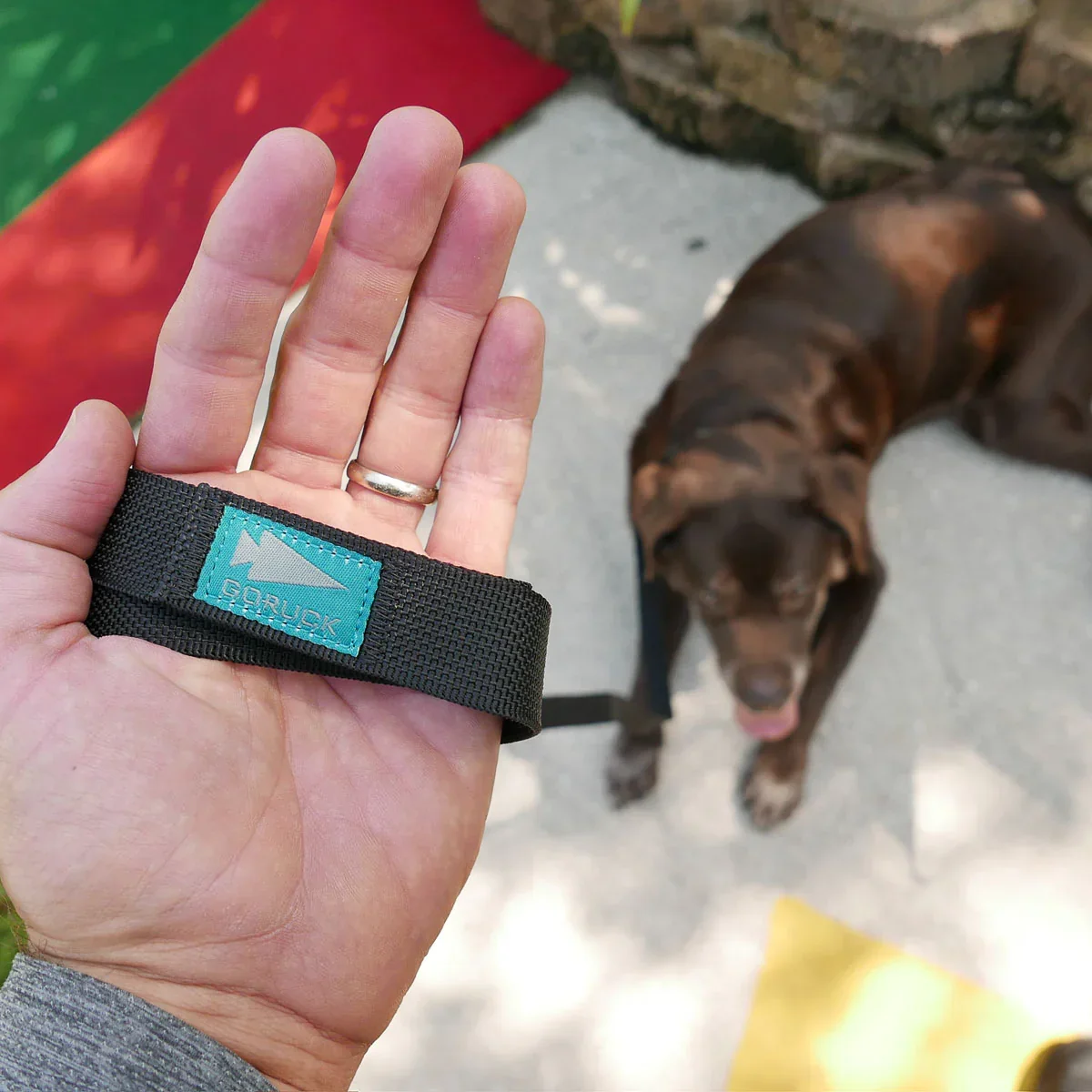 Dog Leash - Image 10