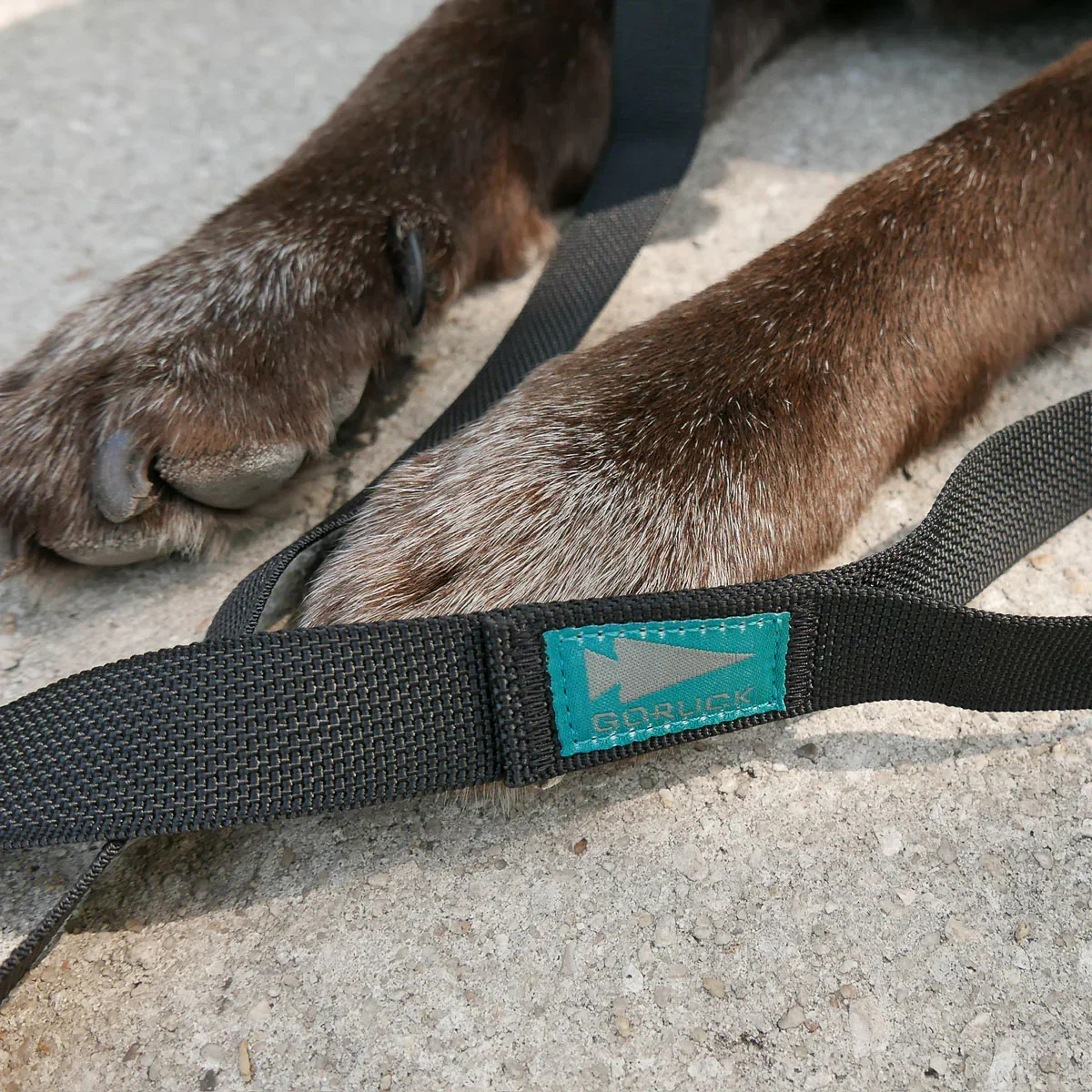 Dog Leash - Image 11