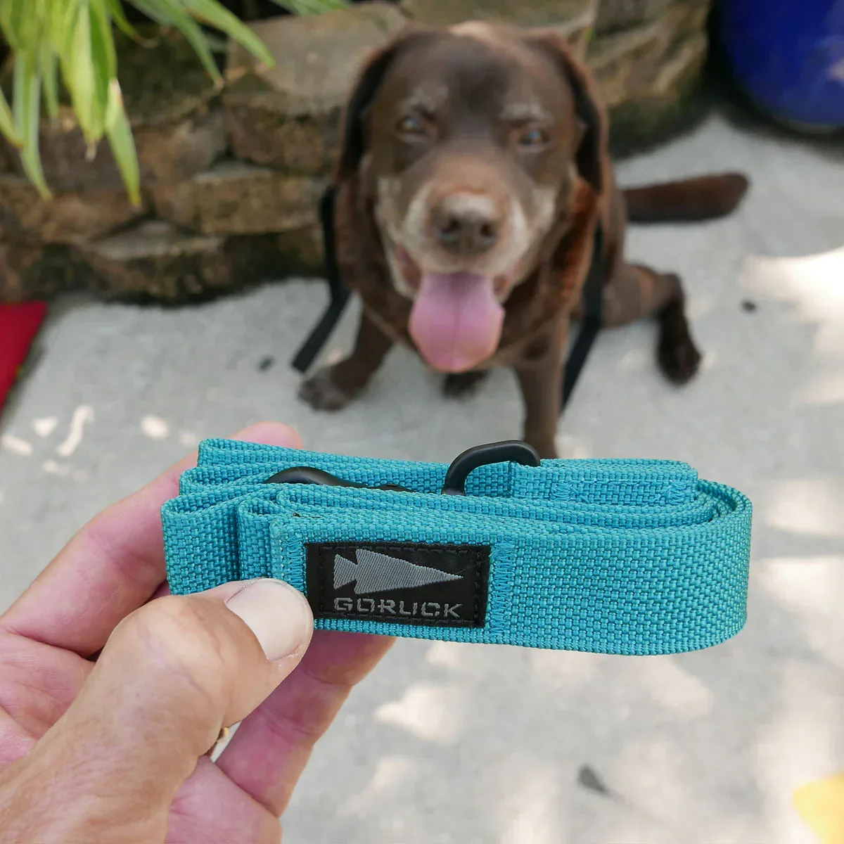 Dog Leash - Image 5