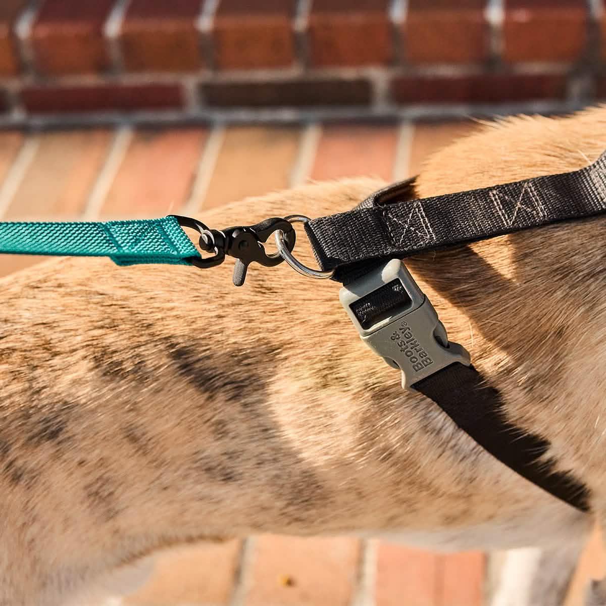 Dog Leash - Image 8