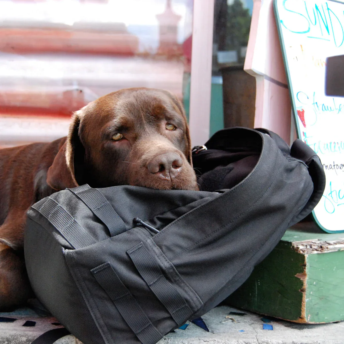Radio Ruck USA Throwback - Image 3