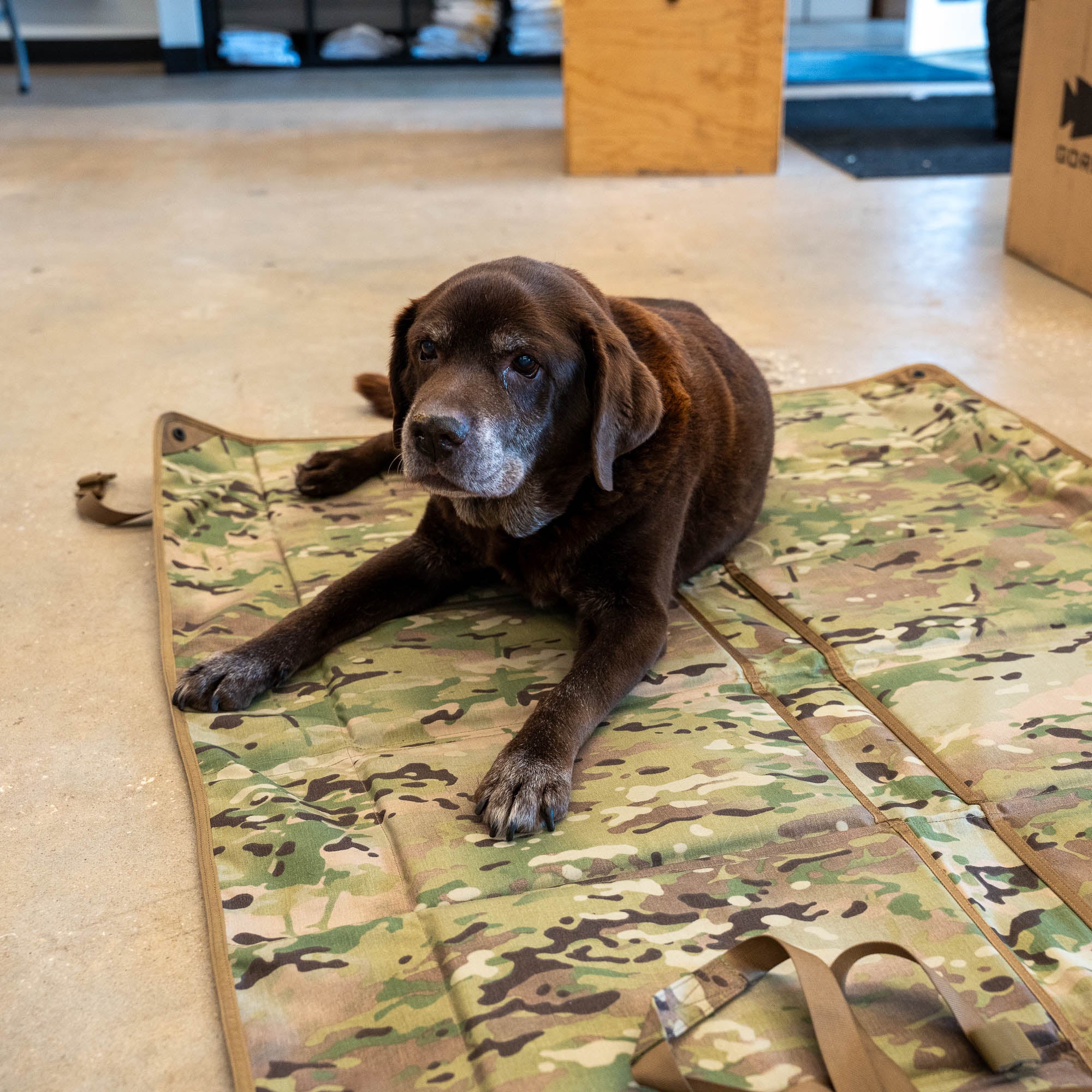 Shooting Mat - Image 8